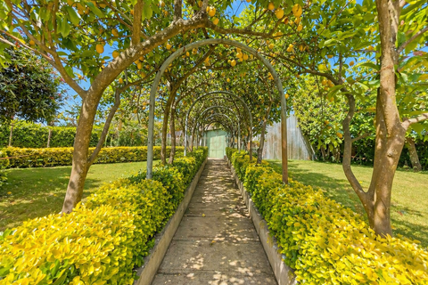Villa i Paredes, Porto, Paredes - € 460.000 | Ref: C0412-00985 - foto 25
