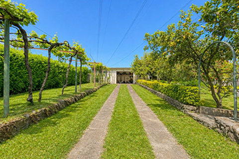 Villa i Paredes, Porto, Paredes - € 460.000 | Ref: C0412-00985 - foto 26