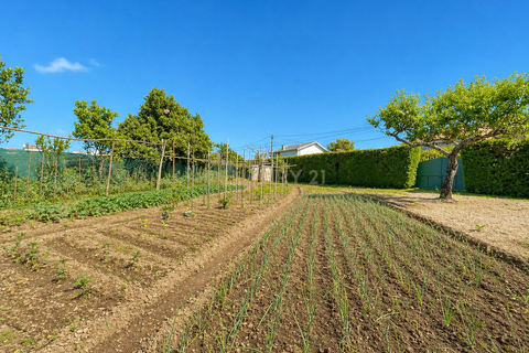 Villa i Paredes, Porto, Paredes - € 460.000 | Ref: C0412-00985 - foto 38