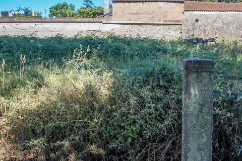 Helårsgrund i Barcelos, Braga, Barcelos - € 52.500 | Ref: 254260798 - foto 5