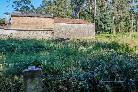 Helårsgrund i Barcelos, Braga, Barcelos - € 52.500 | Ref: 254260798 - foto 10