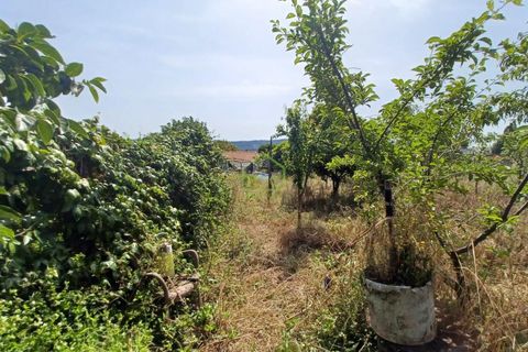 Tomt i Vila do Conde, Porto, Vila do Conde - € 180 000 | Ref: IBC-1655 - foto 4