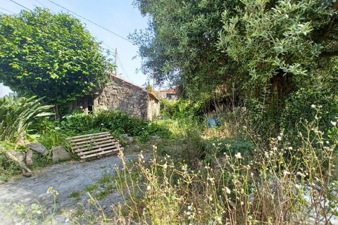 Tomt i Vila do Conde, Porto, Vila do Conde - € 180 000 | Ref: IBC-1655 - foto 8