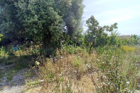 Tomt i Vila do Conde, Porto, Vila do Conde - € 180 000 | Ref: IBC-1655 - foto 20