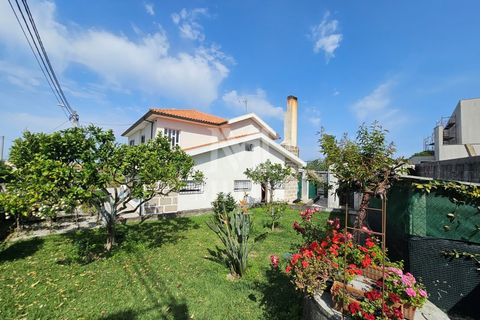 Villa i Viana do Castelo, Viana do Castelo, Viana do Castelo - € 520.000 | Ref: T1039 - foto 29