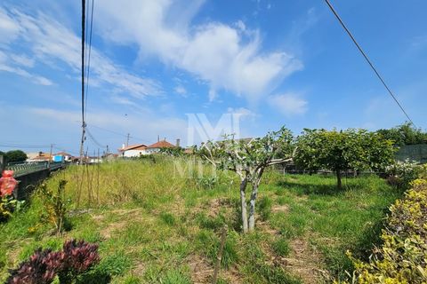 Villa i Viana do Castelo, Viana do Castelo, Viana do Castelo - € 520.000 | Ref: T1039 - foto 30