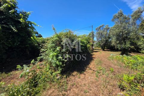Villa i Ponte de Lima, Viana do Castelo, Ponte de Lima - € 68.000 | Ref: R1065 - foto 2