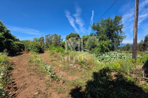 Villa i Ponte de Lima, Viana do Castelo, Ponte de Lima - € 68.000 | Ref: R1065 - foto 3