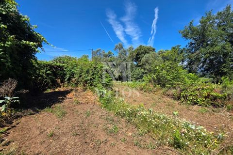 Villa i Ponte de Lima, Viana do Castelo, Ponte de Lima - € 68.000 | Ref: R1065 - foto 4