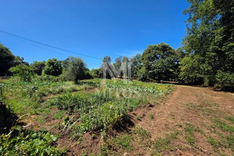 Villa i Ponte de Lima, Viana do Castelo, Ponte de Lima - € 68.000 | Ref: R1065 - foto 5