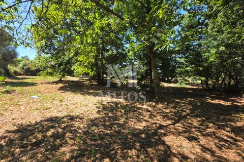 Villa i Ponte de Lima, Viana do Castelo, Ponte de Lima - € 68.000 | Ref: R1065 - foto 6