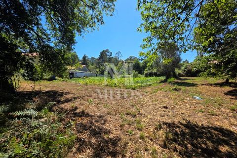 Villa i Ponte de Lima, Viana do Castelo, Ponte de Lima - € 68.000 | Ref: R1065 - foto 7