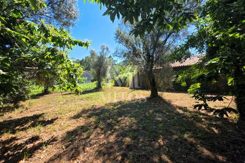 Villa i Ponte de Lima, Viana do Castelo, Ponte de Lima - € 68.000 | Ref: R1065 - foto 8