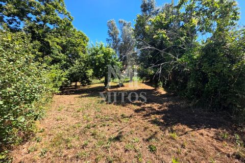 Villa i Ponte de Lima, Viana do Castelo, Ponte de Lima - € 68.000 | Ref: R1065 - foto 9