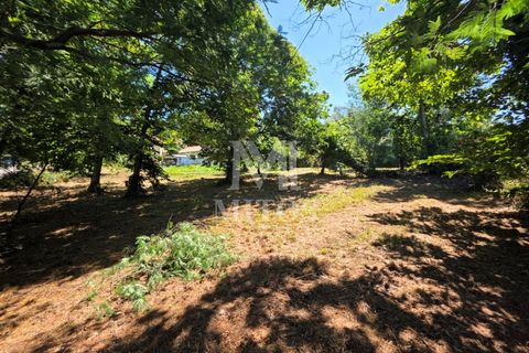 Villa i Ponte de Lima, Viana do Castelo, Ponte de Lima - € 68.000 | Ref: R1065 - foto 10
