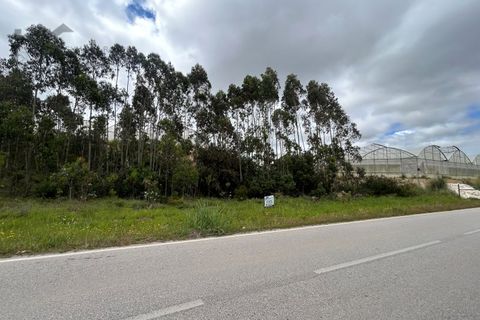 Helårsgrund i Torres Vedras, Lisbon, Torres Vedras - € 35.000 | Ref: K&R - 209 - foto 2