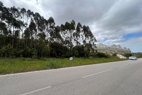 Helårsgrund i Torres Vedras, Lisbon, Torres Vedras - € 35.000 | Ref: K&R - 209 - foto 3