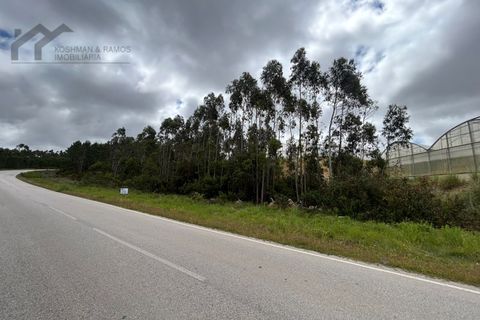 Helårsgrund i Torres Vedras, Lisbon, Torres Vedras - € 35.000 | Ref: K&R - 209 - foto 5