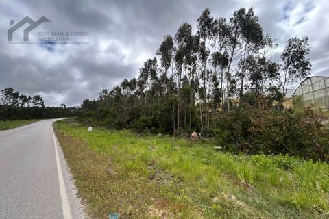 Helårsgrund i Torres Vedras, Lisbon, Torres Vedras - € 35.000 | Ref: K&R - 209 - foto 6