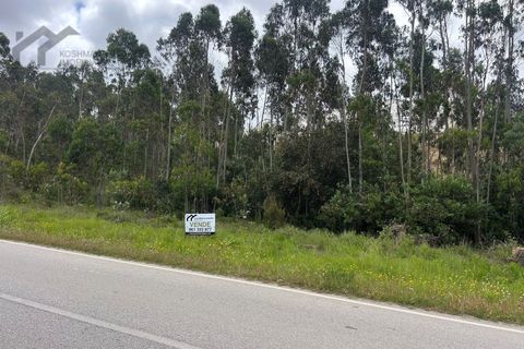Helårsgrund i Torres Vedras, Lisbon, Torres Vedras - € 35.000 | Ref: K&R - 209 - foto 7