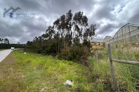 Helårsgrund i Torres Vedras, Lisbon, Torres Vedras - € 35.000 | Ref: K&R - 209 - foto 8