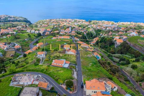 Villa i Calheta, Madeira, Calheta - € 595.000 | Ref: LH-856-2026 - foto 31
