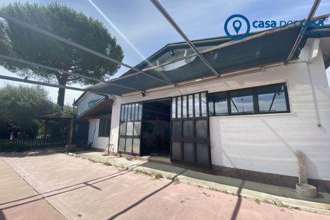 Erhvervsejendom i Loreo, Rovigo, Loreo - € 149.000 | Ref: PVL25 - foto 2