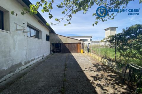Erhvervsejendom i Loreo, Rovigo, Loreo - € 149.000 | Ref: PVL25 - foto 22
