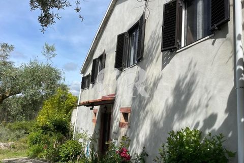 Byhus i Lousa, Coimbra, Lousa - € 285.000 | Ref: CR0778 - foto 4