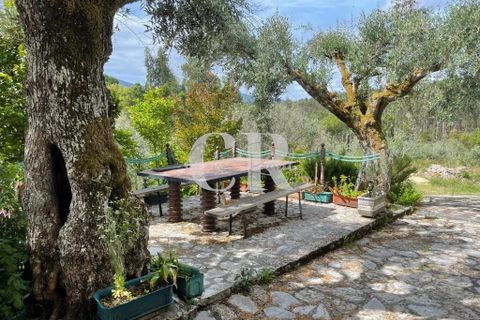 Byhus i Lousa, Coimbra, Lousa - € 285.000 | Ref: CR0778 - foto 8