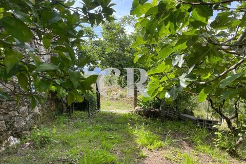 Byhus i Lousa, Coimbra, Lousa - € 285.000 | Ref: CR0778 - foto 23