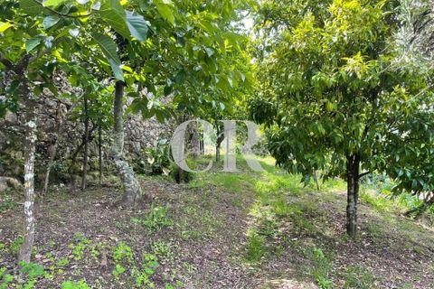 Byhus i Lousa, Coimbra, Lousa - € 285.000 | Ref: CR0778 - foto 25