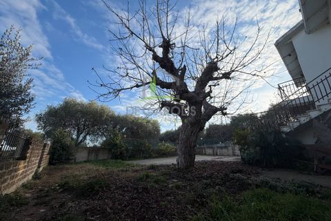 Villa a Cupra Marittima, Ascoli Piceno, Cupra Marittima - € 390.000 | Ref: 461 - foto 14