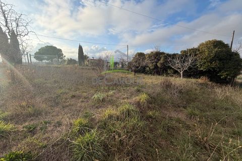 Villa a Cupra Marittima, Ascoli Piceno, Cupra Marittima - € 390.000 | Ref: 461 - foto 16