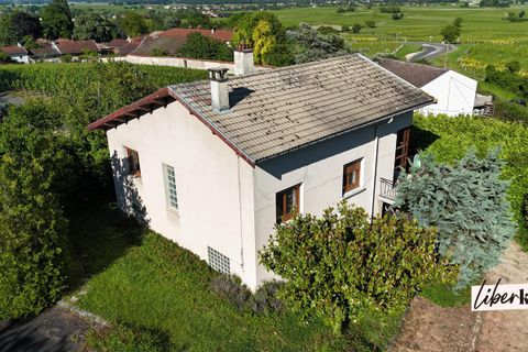 Villa a Vire, Saone-et-Loire, Vire - € 158.000 | Ref: DOM30280 - foto 11