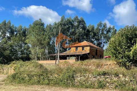 Farm i Tabua, Coimbra, Tabua - € 160.000 | Ref: MAS_127 - foto 2