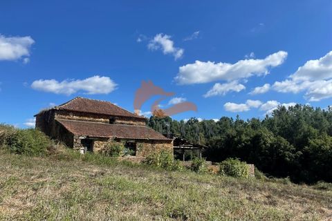Farm i Tabua, Coimbra, Tabua - € 160.000 | Ref: MAS_127 - foto 3