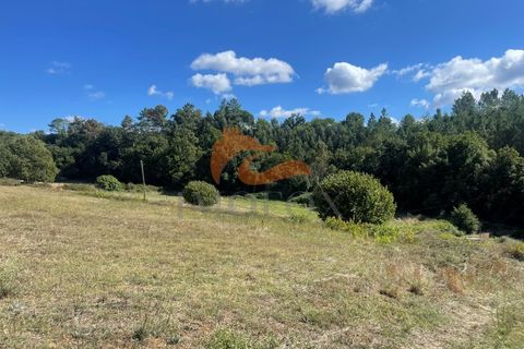 Farm i Tabua, Coimbra, Tabua - € 160.000 | Ref: MAS_127 - foto 4