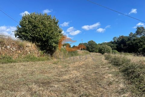 Farm i Tabua, Coimbra, Tabua - € 160.000 | Ref: MAS_127 - foto 5