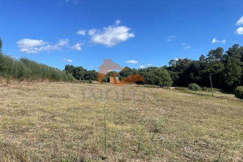Farm i Tabua, Coimbra, Tabua - € 160.000 | Ref: MAS_127 - foto 6