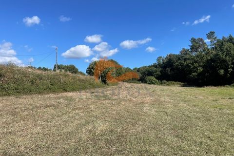 Farm i Tabua, Coimbra, Tabua - € 160.000 | Ref: MAS_127 - foto 7