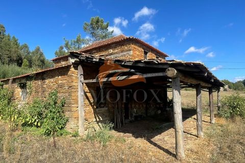 Farm i Tabua, Coimbra, Tabua - € 160.000 | Ref: MAS_127 - foto 10