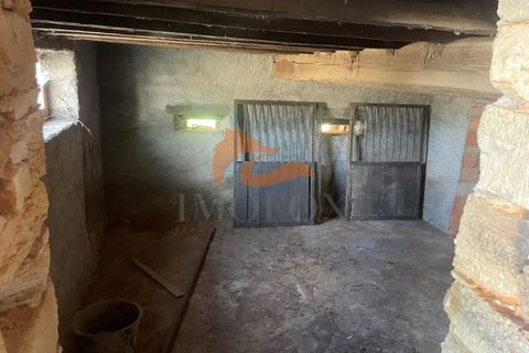 Farm i Tabua, Coimbra, Tabua - € 160.000 | Ref: MAS_127 - foto 11