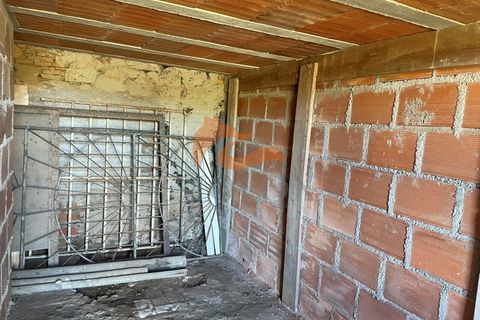 Farm i Tabua, Coimbra, Tabua - € 160.000 | Ref: MAS_127 - foto 12