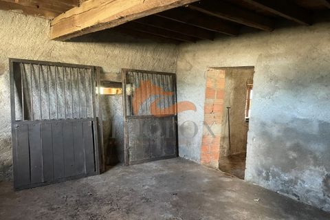 Farm i Tabua, Coimbra, Tabua - € 160.000 | Ref: MAS_127 - foto 13