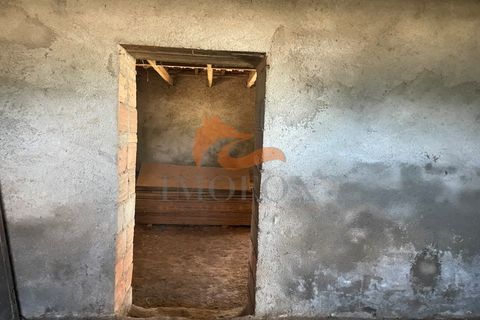 Farm i Tabua, Coimbra, Tabua - € 160.000 | Ref: MAS_127 - foto 14