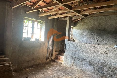Farm i Tabua, Coimbra, Tabua - € 160.000 | Ref: MAS_127 - foto 16