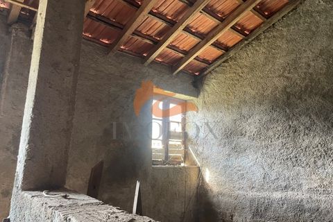 Farm i Tabua, Coimbra, Tabua - € 160.000 | Ref: MAS_127 - foto 17
