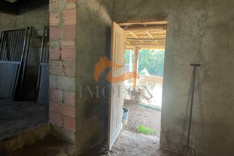 Farm i Tabua, Coimbra, Tabua - € 160.000 | Ref: MAS_127 - foto 19