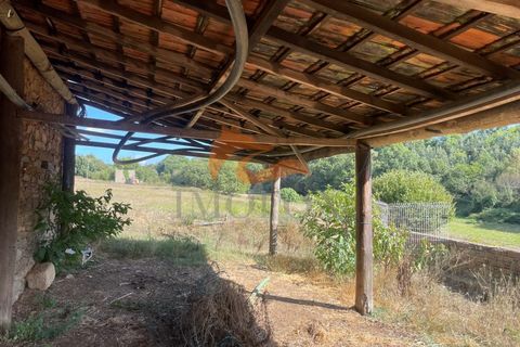 Farm i Tabua, Coimbra, Tabua - € 160.000 | Ref: MAS_127 - foto 21